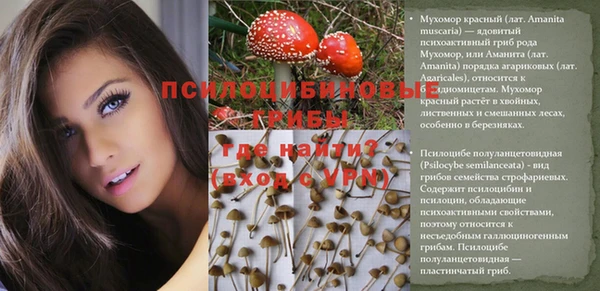 ешки Рославль