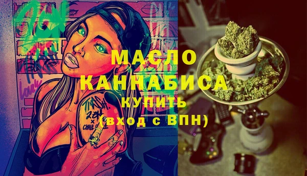 гидра Губаха