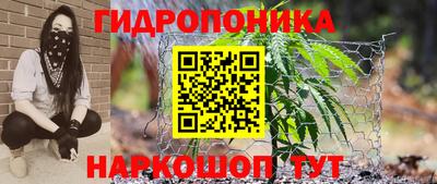 твердый Камышлов