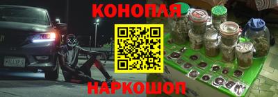 твердый Камышлов