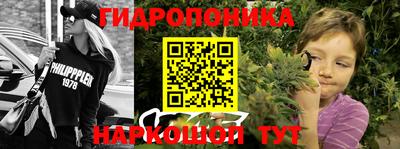 твердый Камышлов