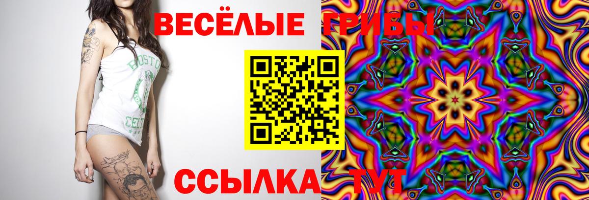 Псилоцибиновые грибы GOLDEN TEACHER Сунжа