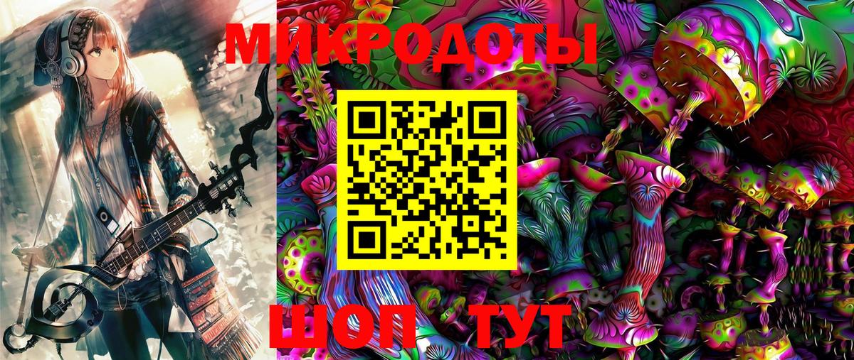 Галлюциногенные грибы прущие грибы  Сунжа 