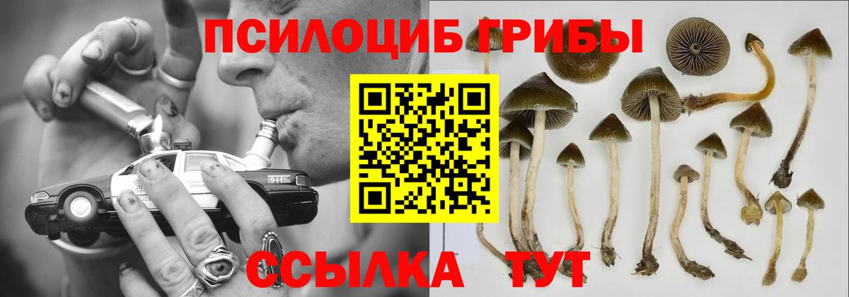 Галлюциногенные грибы ЛСД Сунжа