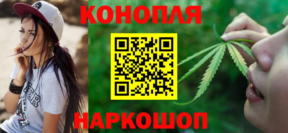 Марихуана гибрид Сунжа