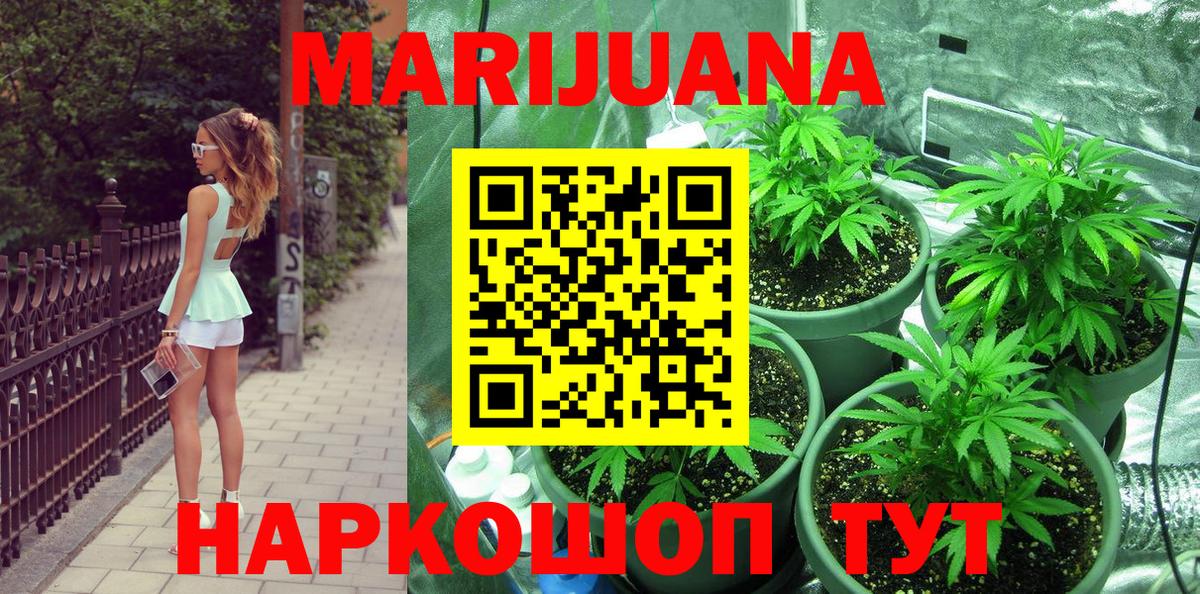 Сунжа  Бошки марихуана OG Kush  Каннабис сатива  Вход с VPN 